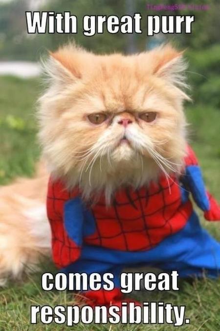 With great purr comes great responsibility