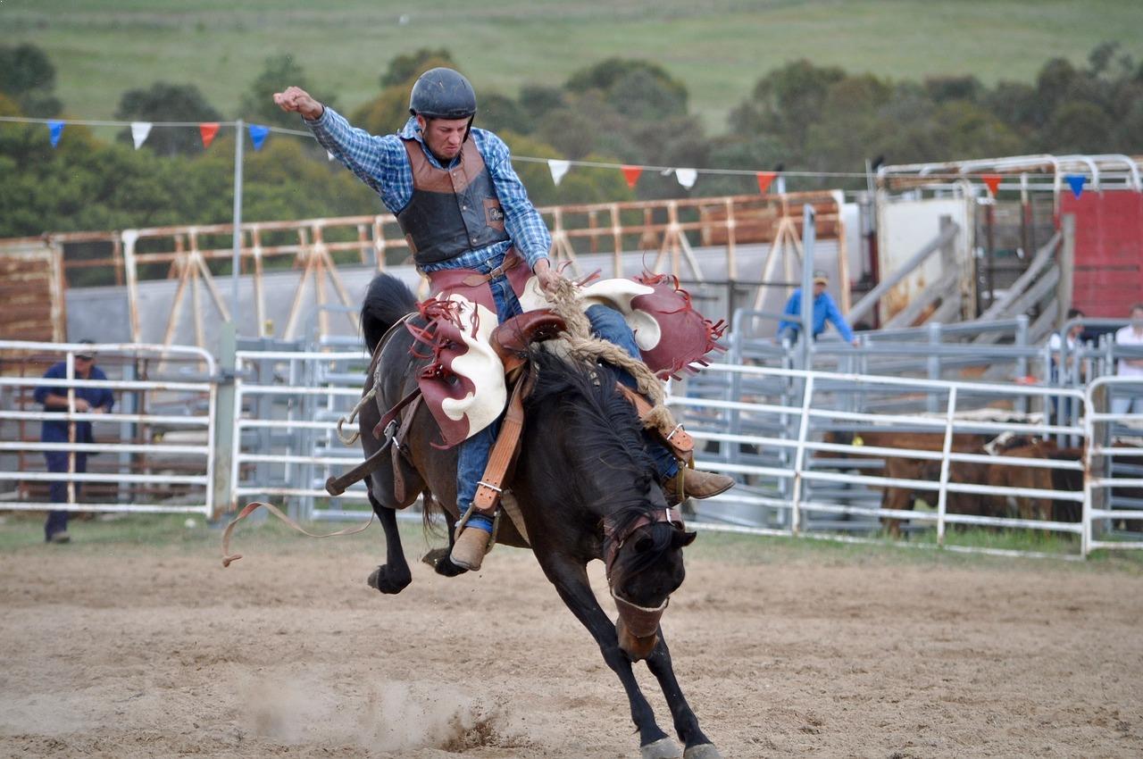 Cowboy riding a bucking bronco